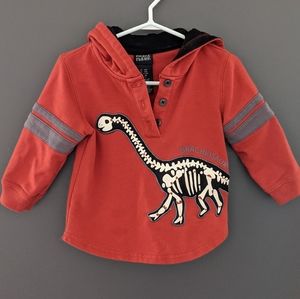 Burnt orange dinosaur hoodie